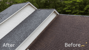 Beaverton Gutter Cleaning Roof Cleaning